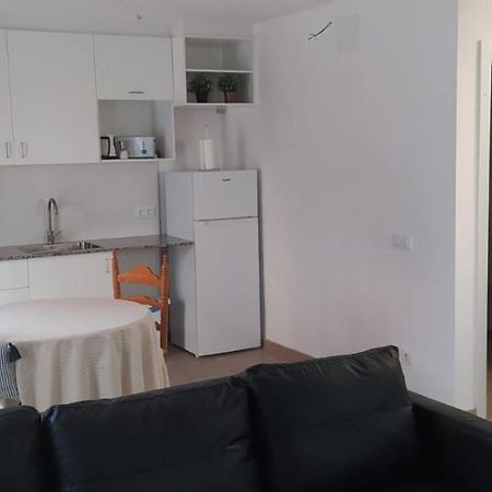 Pis Carretera Santa Pau Apartment Olot Bagian luar foto