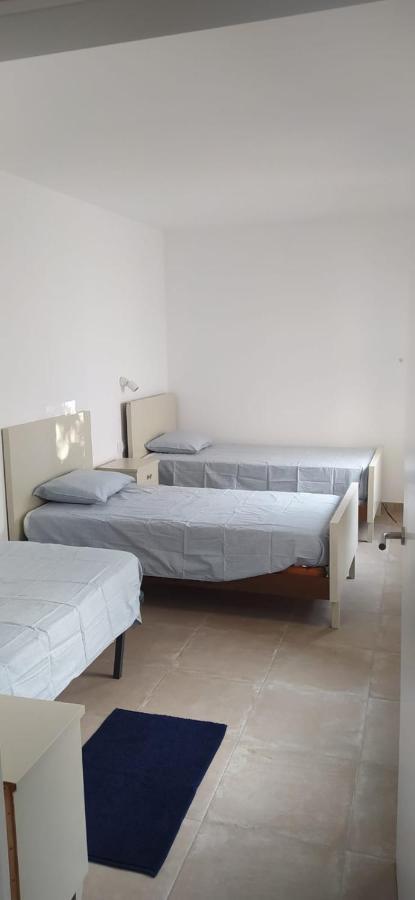 Pis Carretera Santa Pau Apartment Olot Bagian luar foto